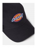 Noir Dickies Sumiton Trucker Noir Dickies  Noir DK0A4XYGBLK1-OS