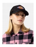 Noir Dickies Sumiton Trucker Noir Dickies  Noir DK0A4XYGBLK1-OS