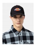 Noir Dickies Sumiton Trucker Noir Dickies  Noir DK0A4XYGBLK1-OS