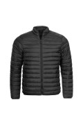 Blouson mi saison  Ben sherman BLACK 0067473-290