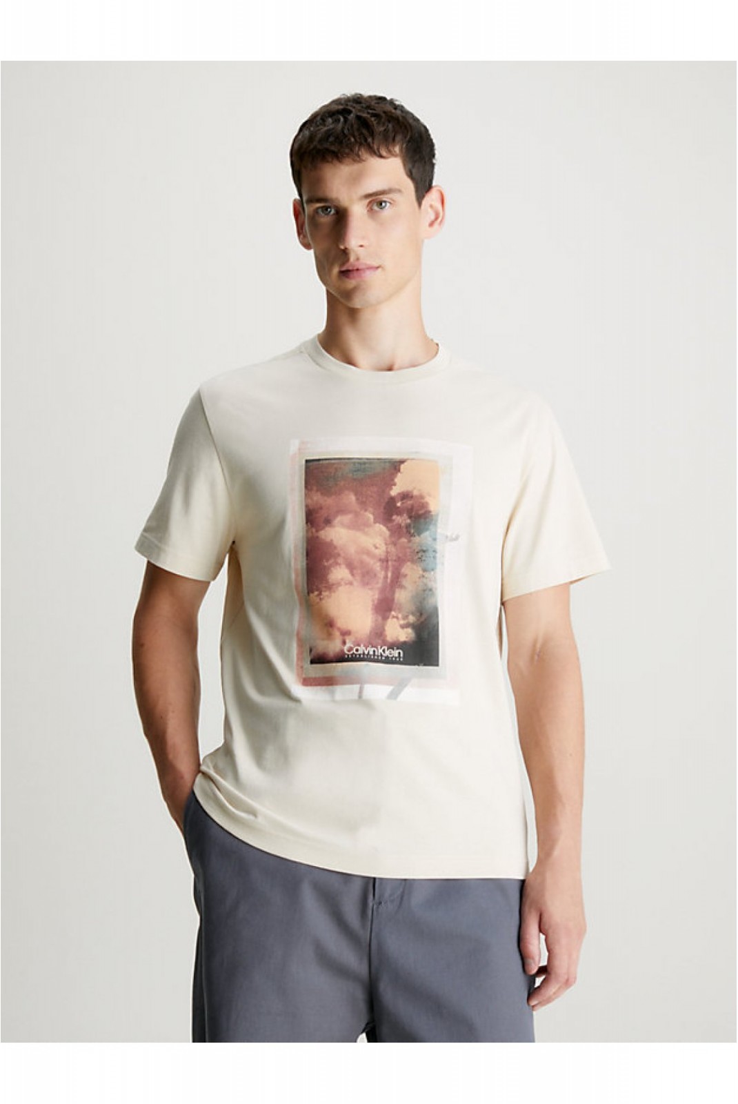 TShirt 100% coton print photo Calvin klein PB5 Fog K10K112758