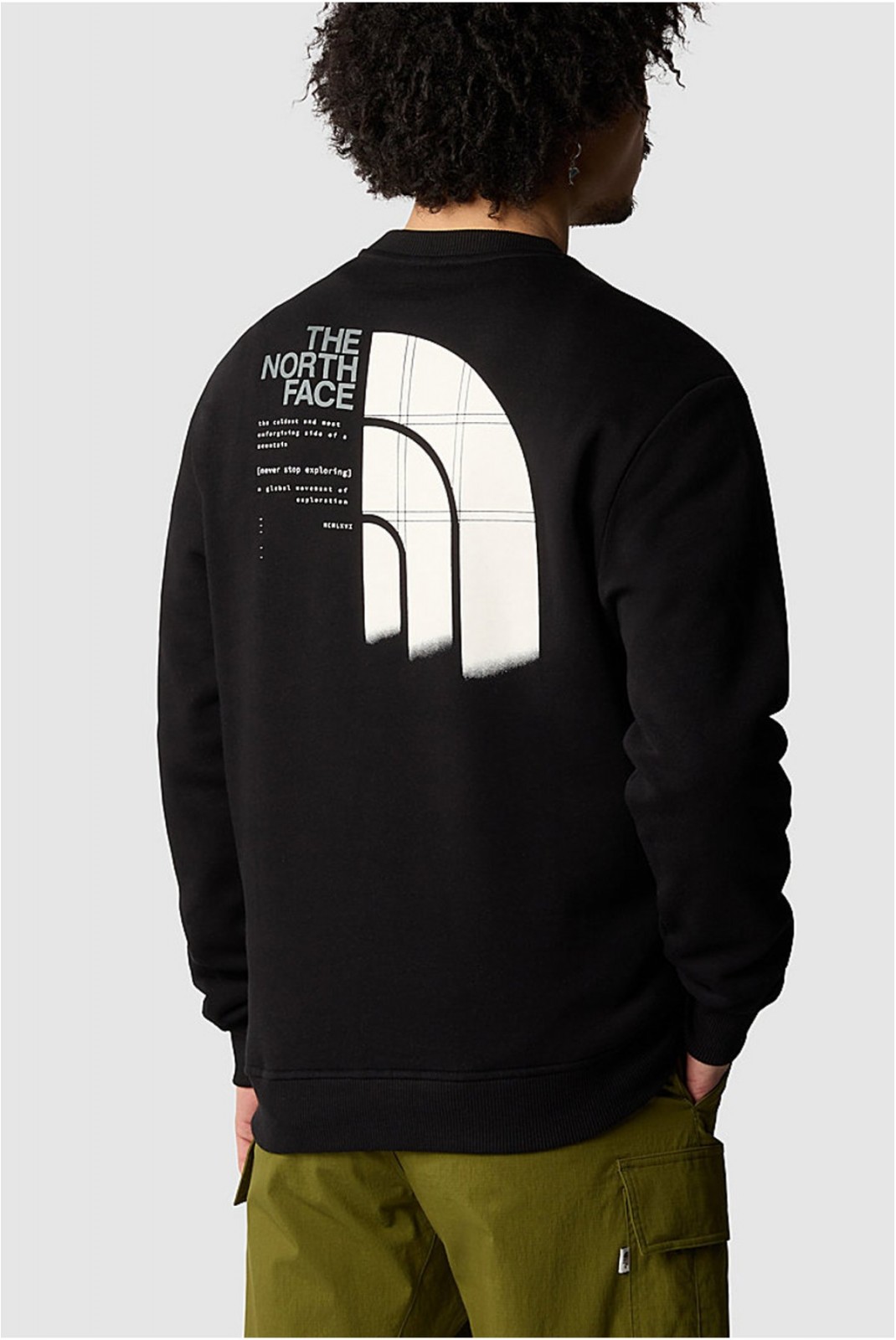 Sweat coton print dos Graphic The North Face BLACK NF0A87EUJK31