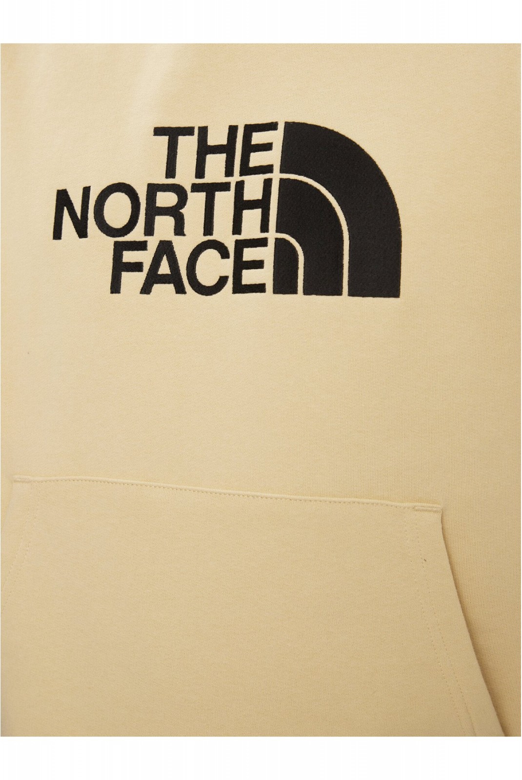 Sweat capuche logo cousu The North Face GRAVEL NF00AHJY3X41