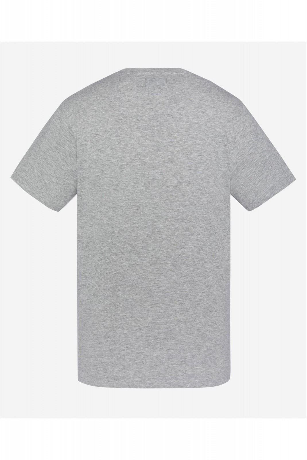 TShirt coton logo Troy Schott H GREY TSTROY