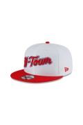 Casquette 9fifty NBA ALT New era OTC 60429647