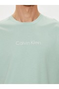 TShirt coton bio Calvin klein LHH Lichen K10K111346