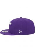 Casquette 9fifty NBA ALT New era OTC 60430031