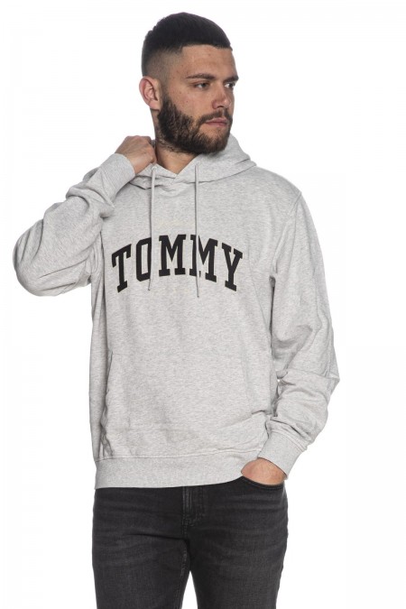 Sweat à capuche logo brodé Tommy Jeans PJ4 Silver Grey DM0DM18401