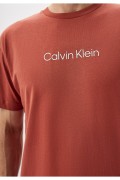 TShirt MC coton logo Calvin klein VAI Apple Butter K10K111346