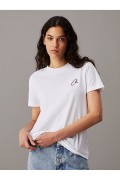 TShirt MC coton logo brodé Calvin klein YAF Bright White J20J224439