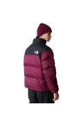 Doudoune rétro bicolore The North Face Black/Red NF0A3C8DKK91