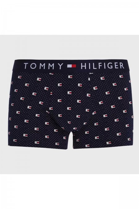 Boxer coton stretch print logo  Tommy Hilfiger 02F Polka Dot Flag Geo Desert Sky UM0UM02835