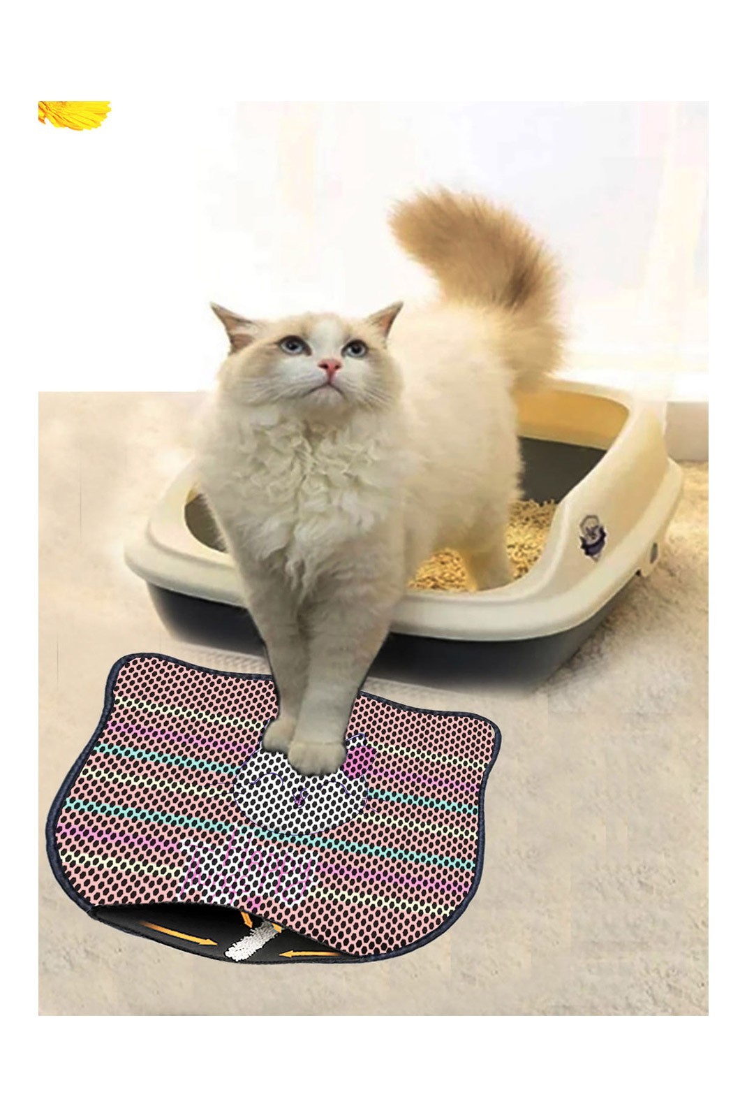 Tapis pour litière de chat - Multicolor - 686GRV1109