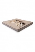 Lit pour animaux de compagnie - Ecru/Beige - 954JNG1129