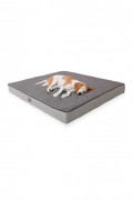 Lit pour animaux de compagnie - Grey/Light Grey - 954JNG1132