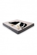 Lit pour animaux de compagnie - White/Anthracite - 954JNG1138