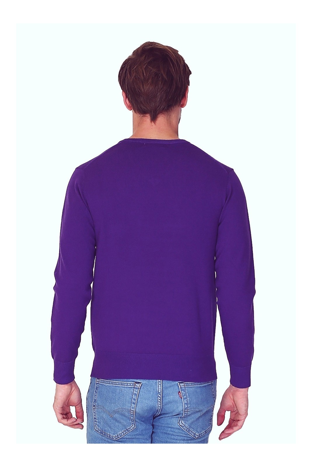 Pull col V classique à manches longues tricotage en 3 fils - Violet  - WFM120