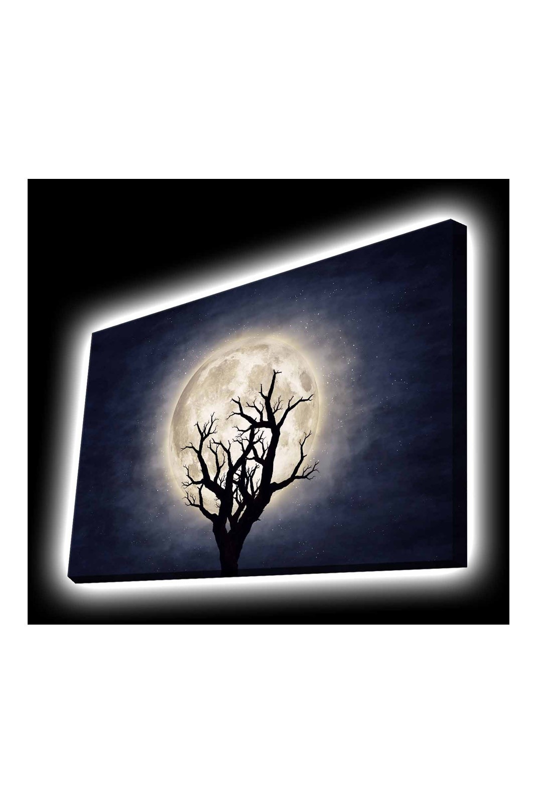 Peinture décorative sur toile éclairée par LED - Multicolor - 139LDG1120