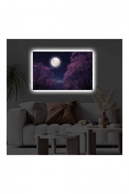 Peinture décorative sur toile éclairée par LED - Multicolor - 139LDG1135