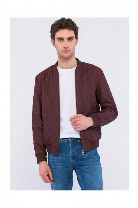 Veste en cuir - BASICS & MORE - Bordeaux Tafta - BA2270944