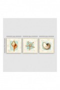 Peinture décorative sur toile (3 Pieces) - Multicolor - 564RMY1387