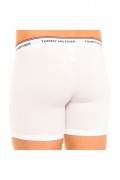 Pack 3 boxers - TOMMY HILFIGER - Black-Gray-White - Boxers