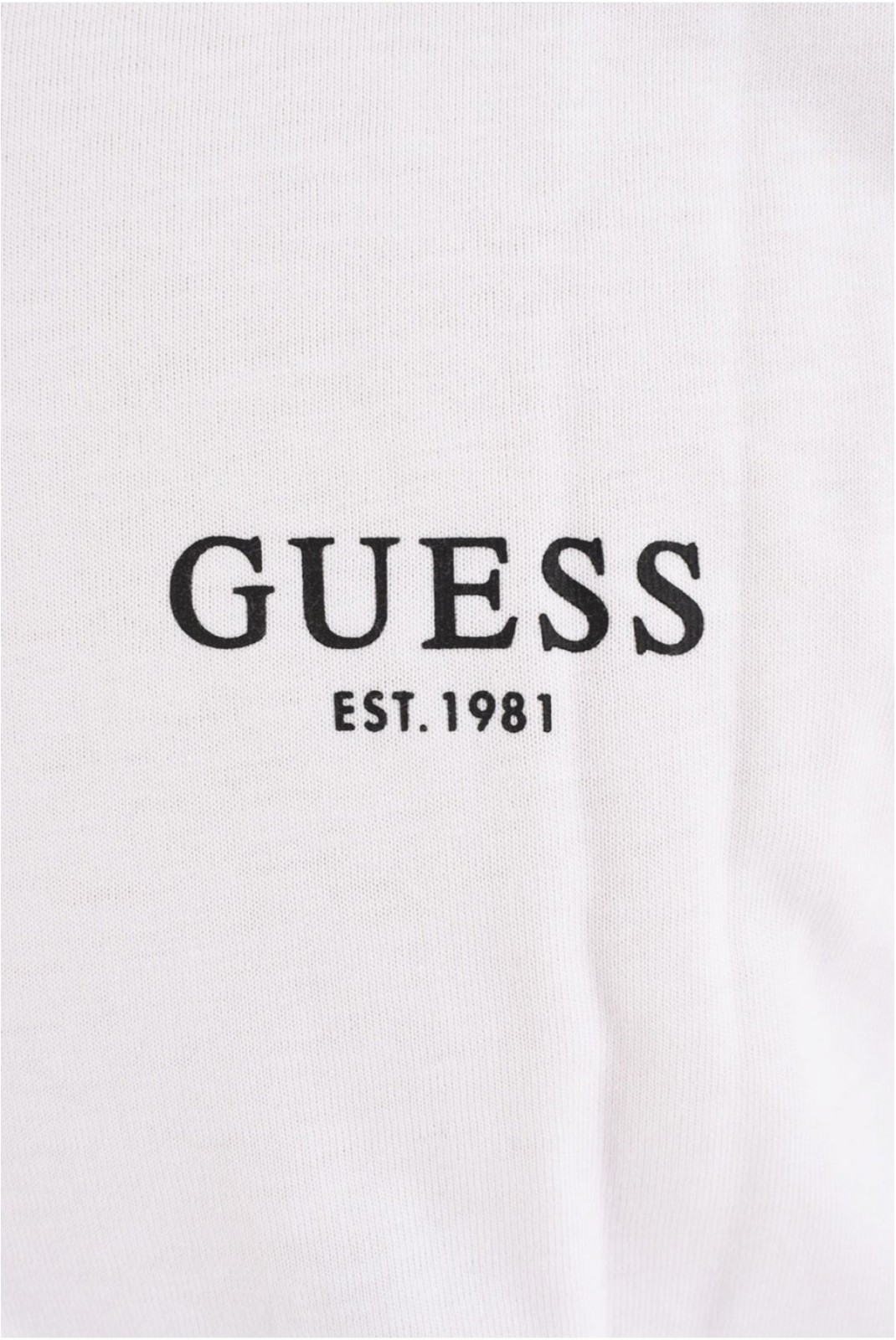 TShirt ML 100% coton Guess jeans G011 Pure White U4YP30 KCAM1