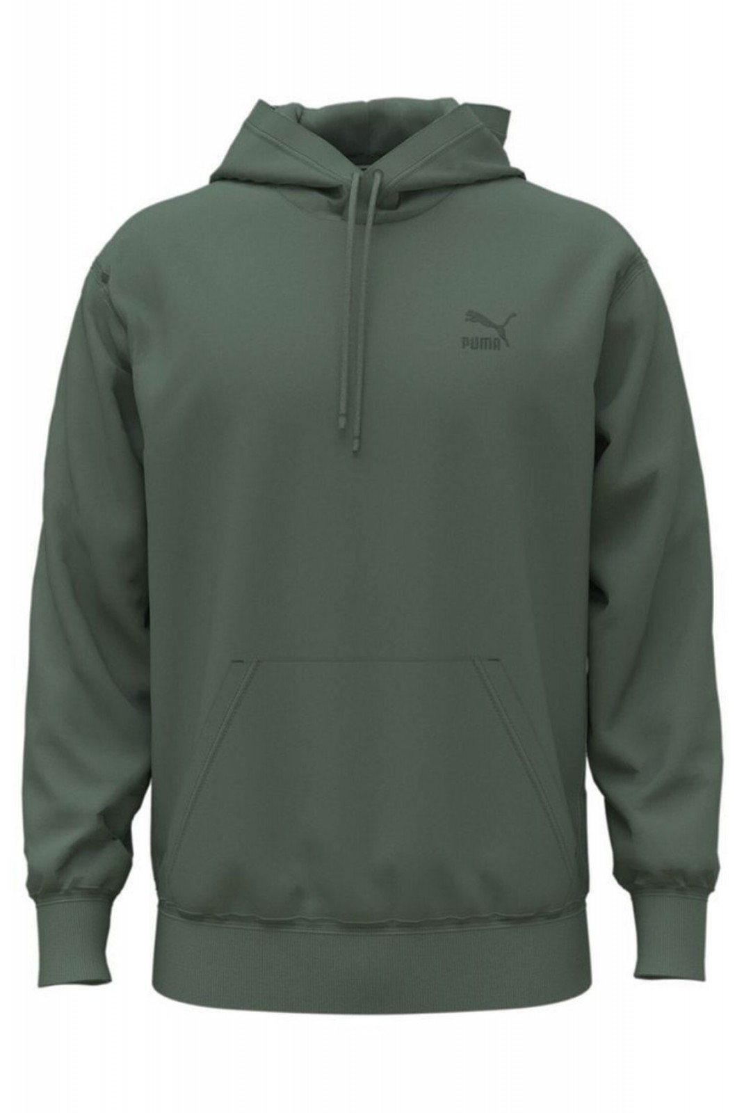 Sweat basique à capuche Puma Eucalyptus 535596