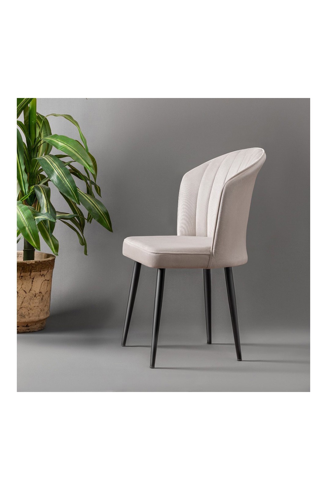 Ensemble de chaises (2 pièces) - Cream / Black - K1139