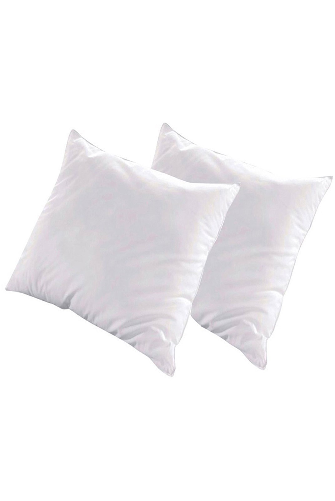 Lot de 2 Oreillers Natura 60x60 cm | Duvet & Plumes