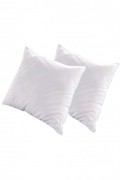 Lot de 2 Oreillers Natura 60x60 cm | Duvet & Plumes