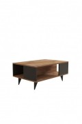 Table basse - Walnut / Black - 2833