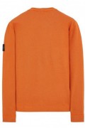 Sweatshirt - STONE ISLAND - Sienna Brown