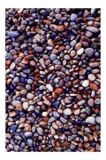 Tapis (60 x 100) - Multicolor - T1456