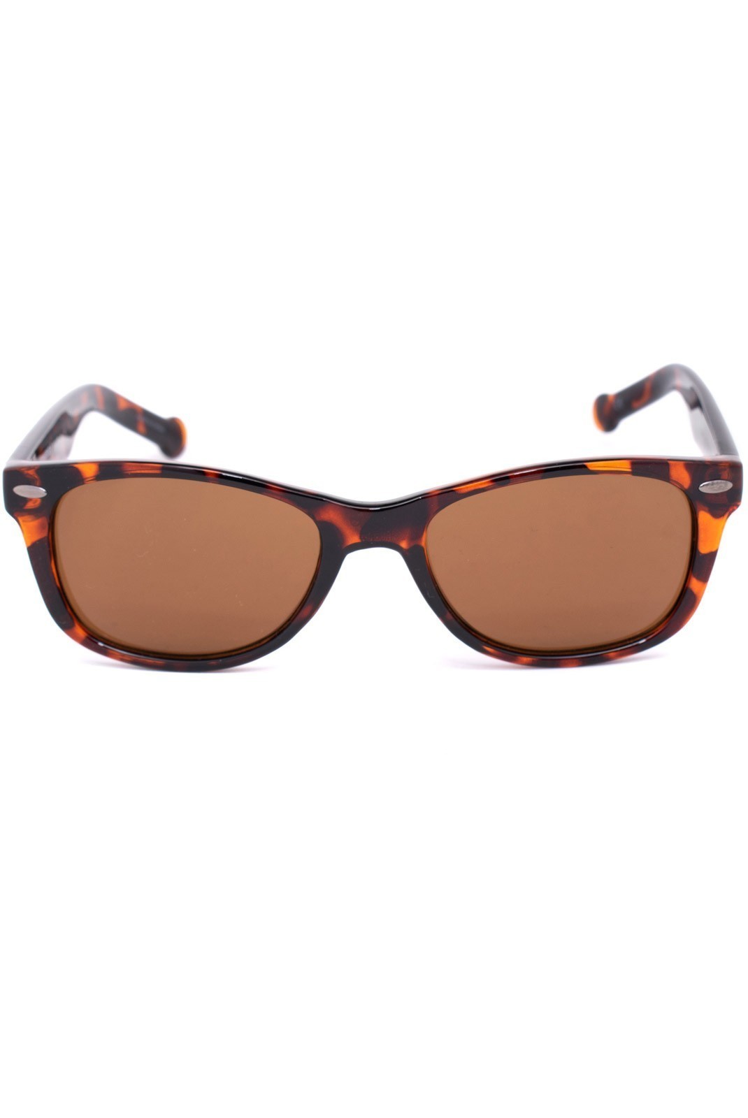 Lunettes de soleil - CONVERSE - Brown/Gray