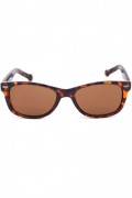 Lunettes de soleil - CONVERSE - Brown/Gray